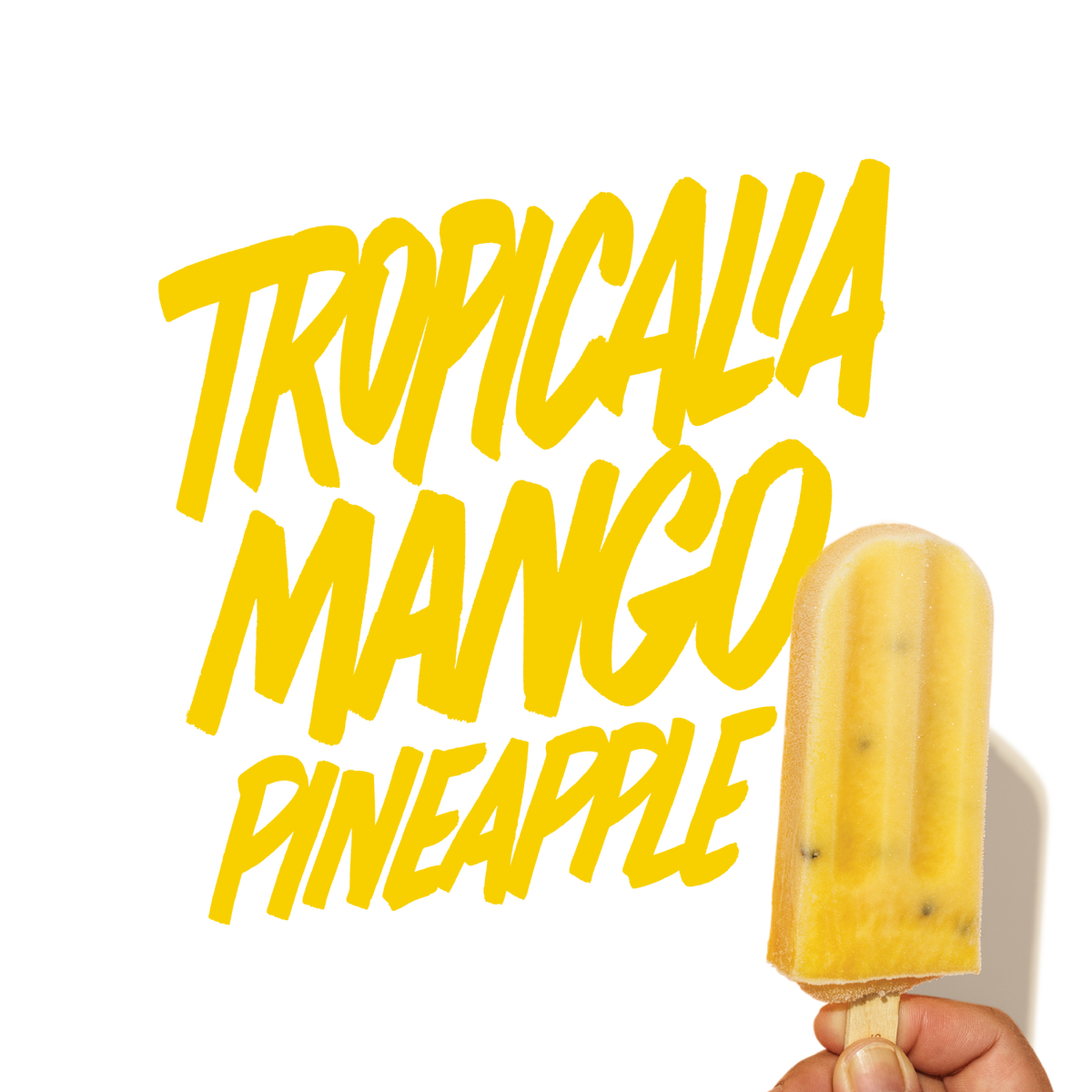 Our Pops – Pure Pops